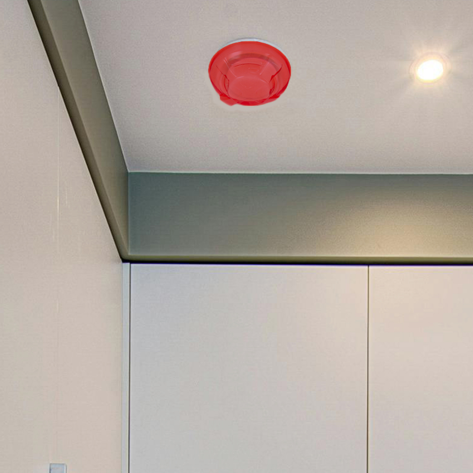2Pcs Smoke Protective Cover Pl - огляд і ціна Commercial Kitchen Paint